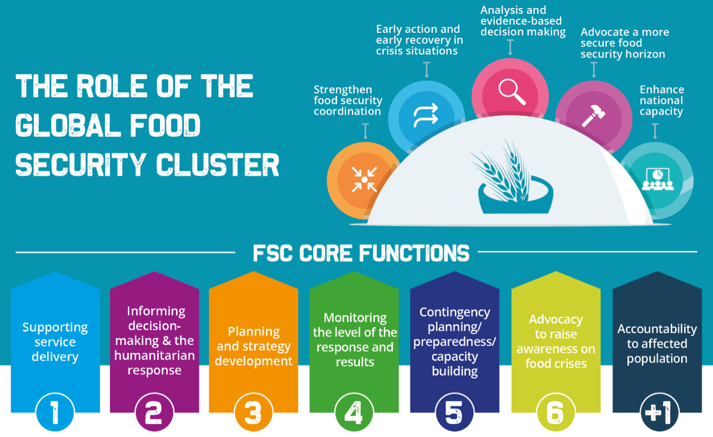 Role of food security cluster